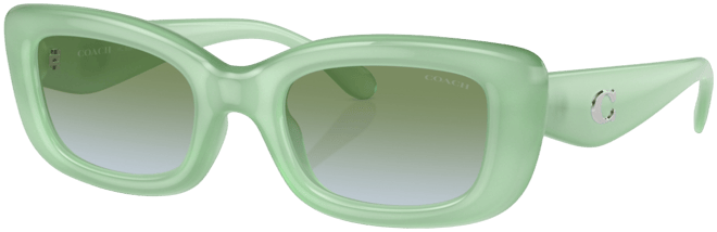 Women's Sunglasses, Cr610 Hc8390U