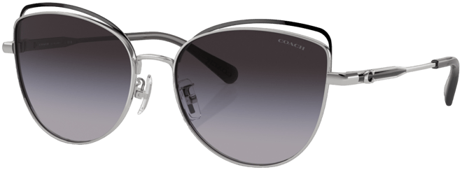 Women's Sunglasses, Cr621 Hc7162