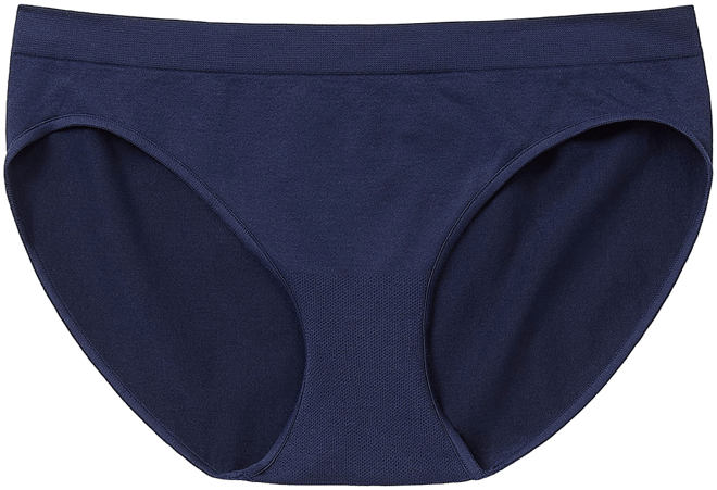  Ambrielle Seamless Bikini Panty for $13.00