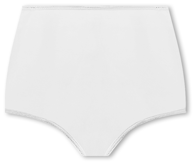 Bali Skimp Skamp Briefs 2633 JCPenney