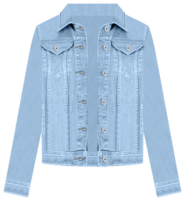 売れ筋商品|||スタイルアンドコー カットソー トップス レディース Women's Cotton Short-Sleeve Scoop-Neck Top, PXS-4X, Created for Macy's Berred Treasur Style & Co Style Co Womens Cotton Short Sleeve Scoop Neck