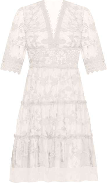 Women's V-Neck Lace Embroidery Dress
