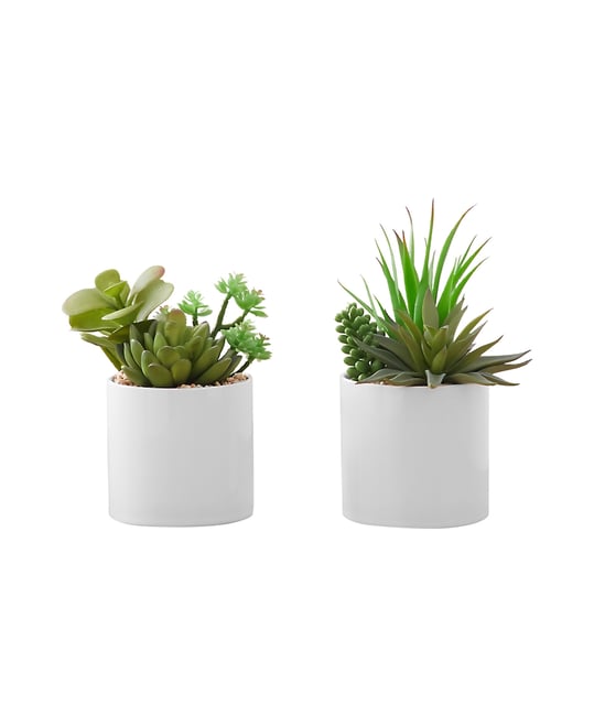 7" Indoor Artificial Succulent Plants with Decorative White Ceramic Pots, Set Of 2