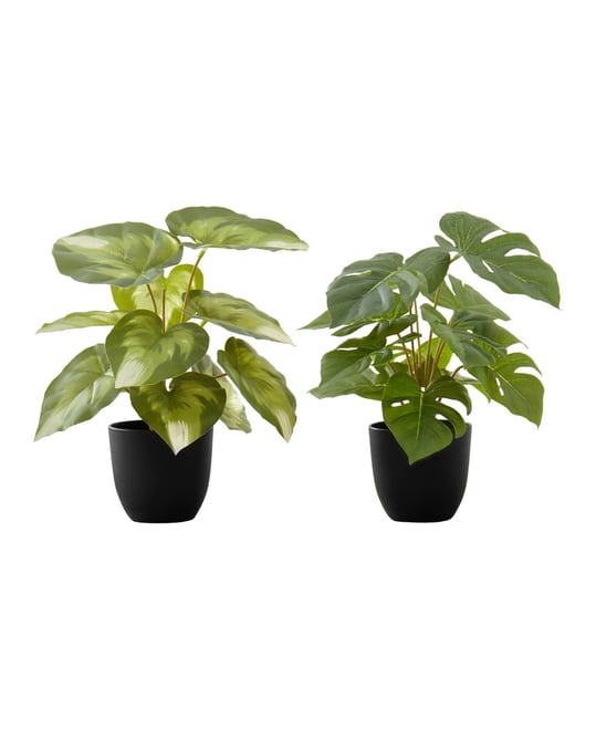 13" Indoor Artificial Monstera Calthea Plants with Decorative Black Pots, Set Of 2