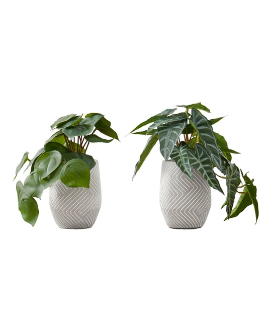 8" Indoor Artificial Alocasia Plants with Decorative White Cement Pots, Set Of 2