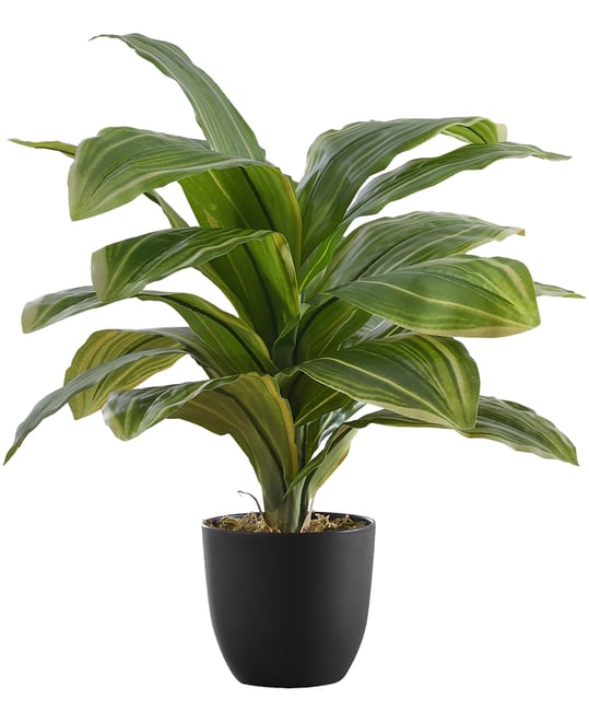 17" Indoor Artificial Dracaena Plant with Decorative Black Pot