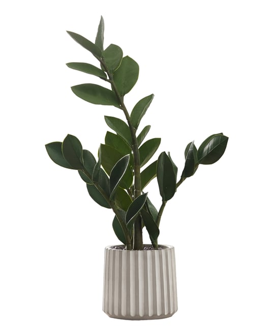 20" Indoor Artificial Zz Plant with Decorative Grey Cement Pot