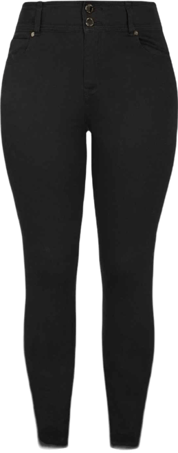 Plus Size Asha Regular High Rise Skinny Jean