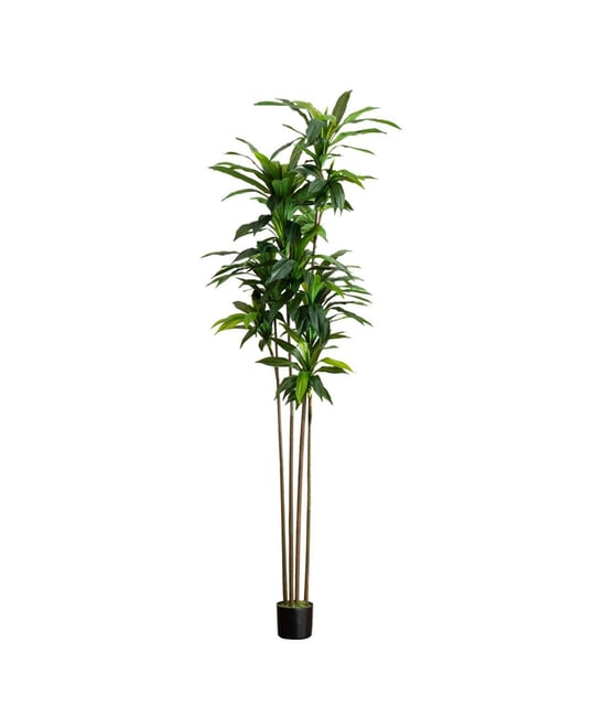 8ft. Artificial Dracaena Tree with Real Touch Leaves
