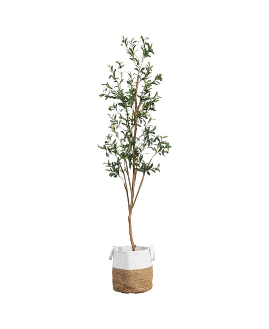 7ft. Artificial Olive Tree with Natural Trunk and Handmade Jute Basket