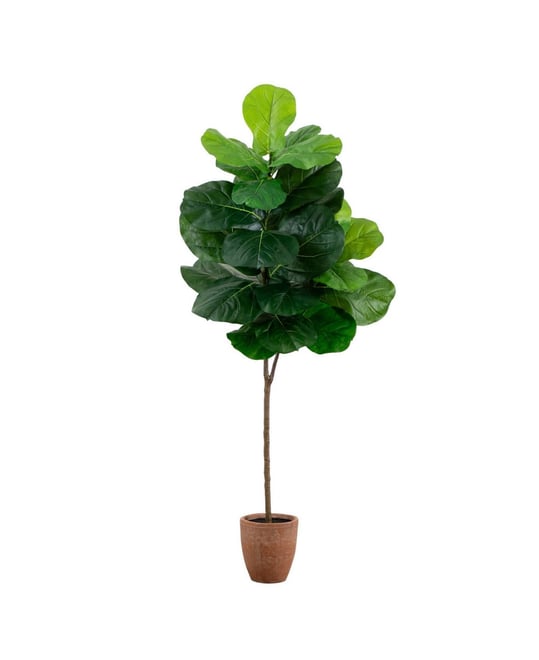 6ft. Artificial Giant Leaf Fiddle Leaf Fig Tree in Decorative Planter with Real Touch Leaves