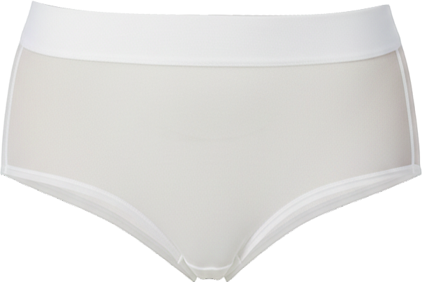 Women's Sheers Brief Underwear, DK8195