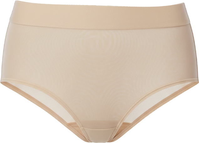 Women's Sheers Brief Underwear, DK8195
