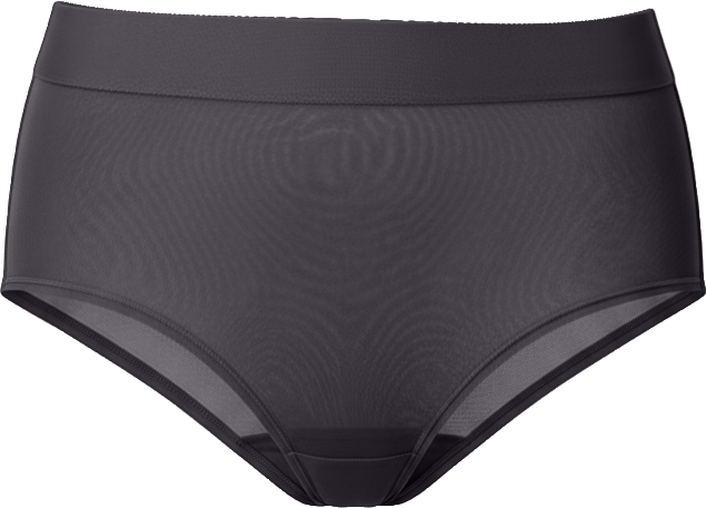 Women's Sheers Brief Underwear, DK8195