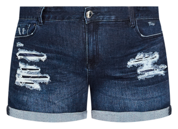 Plus Size Ripped Love Short