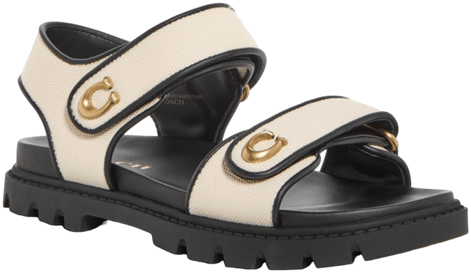 COACH★Brynn Sandal Amazon.com | Coach Women's Brynn Sandal Platform, Black