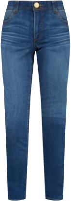 Democracy Womens 29 in. Ab-Tech Elastic Waist Jegging