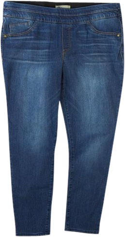 Democracy Womens 27 in. Ab-Tech Pull-On Jeans