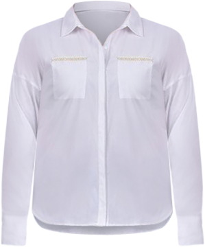 NY Collection Plus Long Sleeve Hidden Placket Blouse
