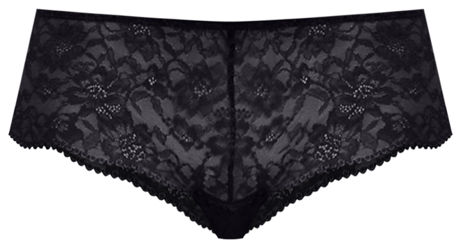 Women's Lace Hipster Brief Underwear 4L0029