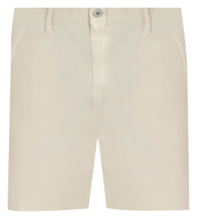 Men's Relaxed Fit Painter 9" Shorts