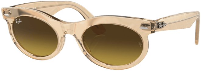 Unisex Sunglasses, Wayfarer Oval Change Rb2242