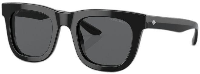 Men's Sunglasses, AR817149-x