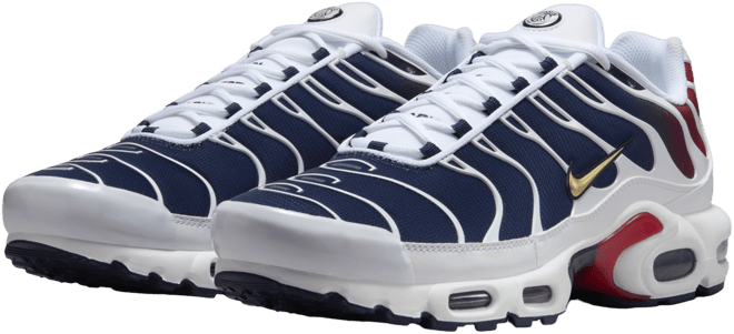 ナイキ エア マックス プラス メンズシューズ