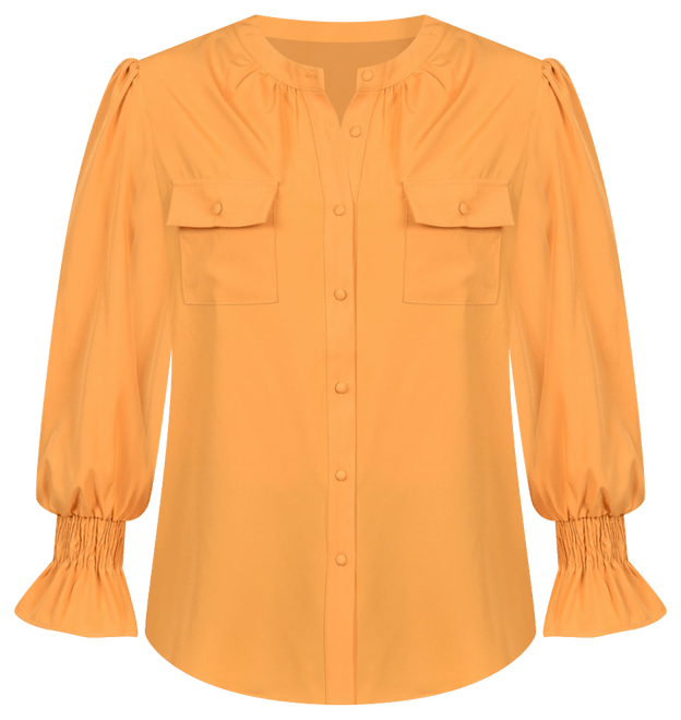 Women's Long Sleeve Y Neck Blouse