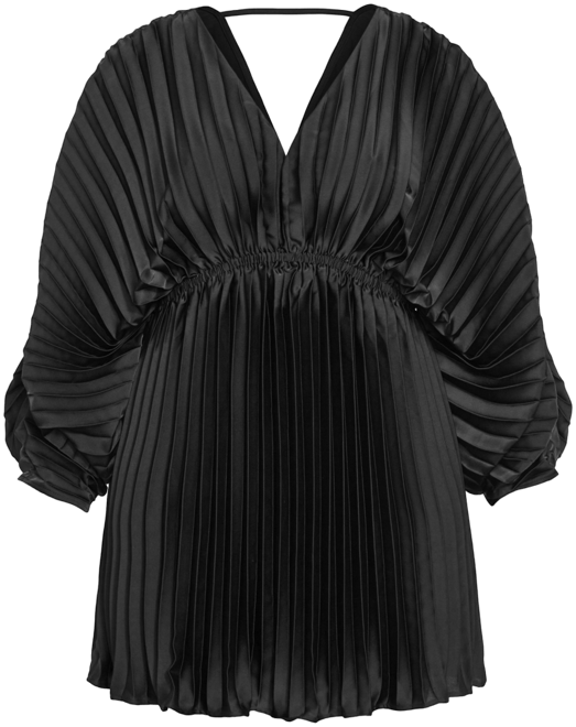 Plus Size Chloe Pleat Dress