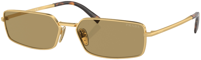 Signature Rectangular Women's Sunglasses, Pr A60S