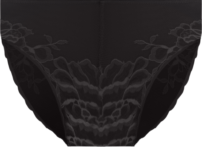 Flora Sheer Lace Brief 776150