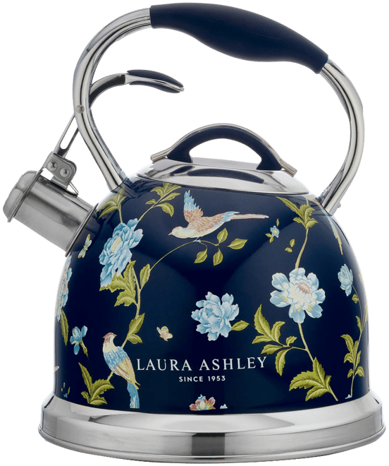 10-Cup Navy Stove Top Kettle