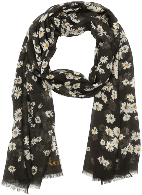 Women's Daisy Cluster Printed Oblong Scarf
