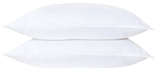 Plush 2-Pk. Pillows, Standard/Queen