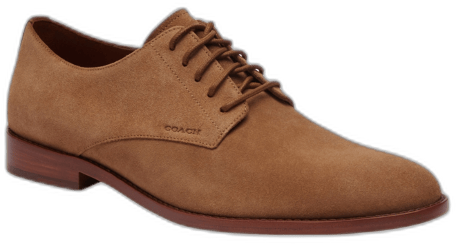 Men's Davi Suede Derby