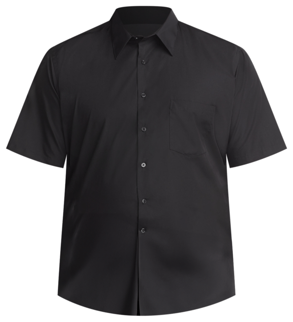 Men's Big & Tall Poplin Short Sleeve Dress Shirt