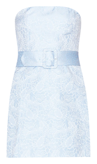 x REVOLVE Fae Dress