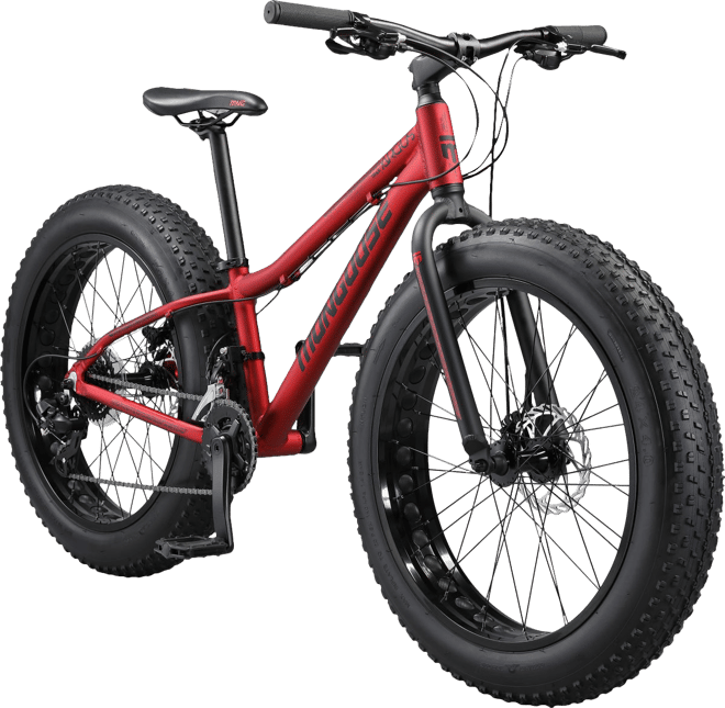 Mongoose Boys' 24” Argus Trail Fat Tire Mountain Bike | Dick's