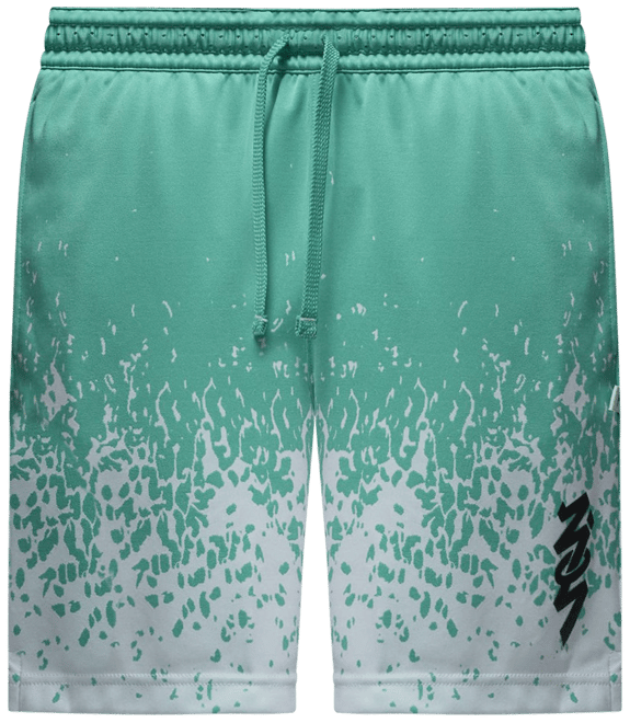 Zion Men's Shorts