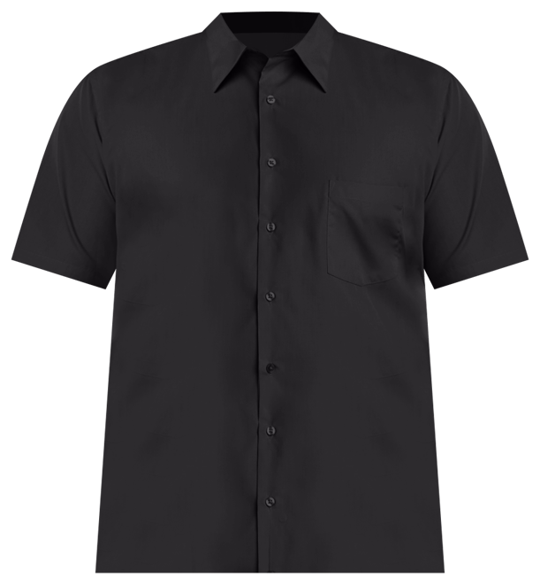Men's Big & Tall Poplin Short Sleeve Dress Shirt