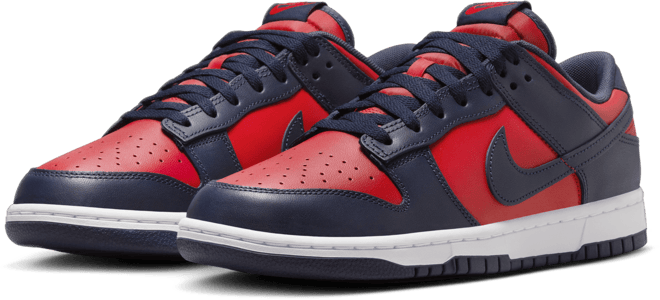 Nike Dunk Low Retro Men's Shoes