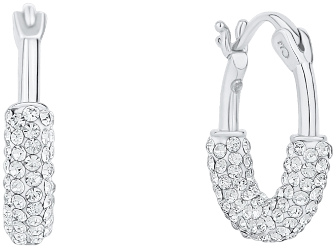 Crystal Hoop Earring