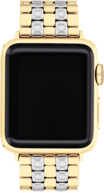 Women's Two Tone Stainless Steel Apple Strap 38mm/40mm/41mm