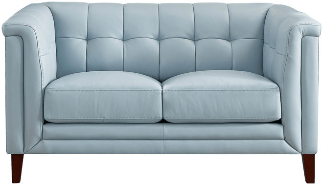 Arvo 62" Top Grain Leather Loveseat