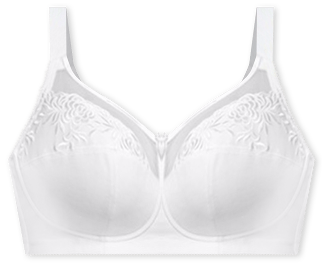  Elila Back to Basics Softcup Bra 1301 for $52.00