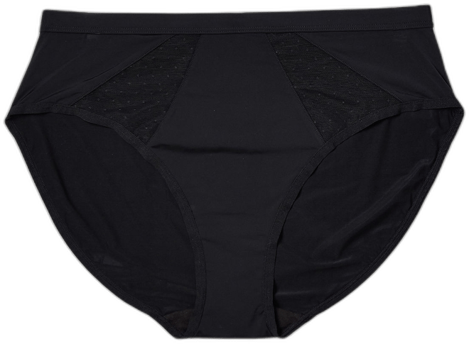  Liz Claiborne Cool Touch High Cut Panty 351828 for $14.00