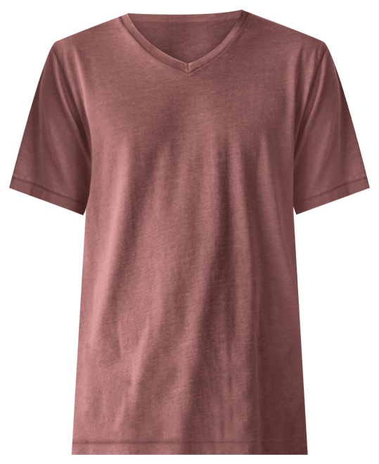 Men's Venice Burnout V Neck Tee T-shirts