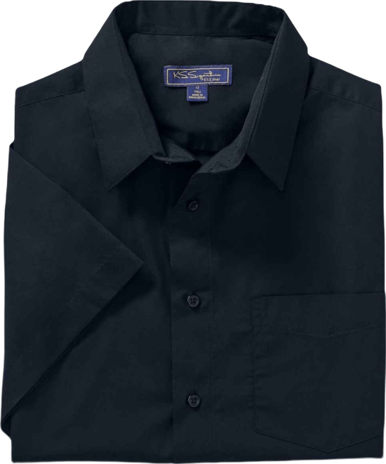 Big & Tall Wrinkle-Free Short-Sleeve Oxford Dress Shirt