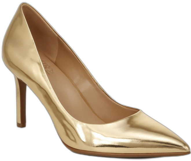 Women's Anna Pointed Toe Dress Pumps